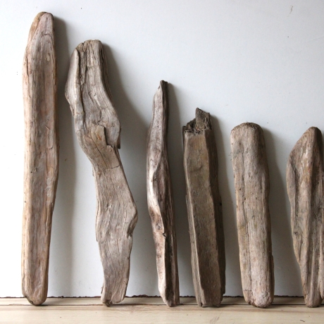 Treibholz Schwemmholz Driftwood 6  Hölzer 35-57 cm 