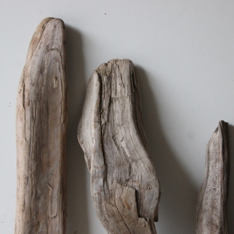 Treibholz Schwemmholz Driftwood 6  Hölzer 35-57 cm 