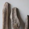 Treibholz Schwemmholz Driftwood 6  Hölzer 35-57 cm 