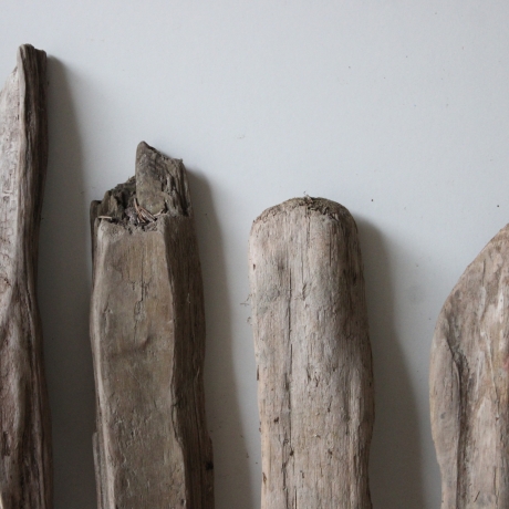 Treibholz Schwemmholz Driftwood 6  Hölzer 35-57 cm 
