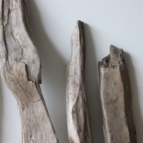Treibholz Schwemmholz Driftwood 6  Hölzer 35-57 cm 