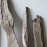 Treibholz Schwemmholz Driftwood 6  Hölzer 35-57 cm 