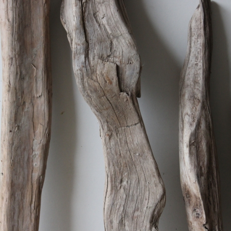 Treibholz Schwemmholz Driftwood 6  Hölzer 35-57 cm 