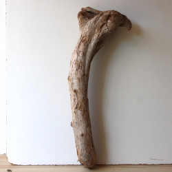 Treibholz Schwemmholz Driftwood 1 XXL Skulptur  93 cm 