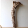 Treibholz Schwemmholz Driftwood 1 XXL Skulptur  93 cm 