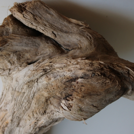 Treibholz Schwemmholz Driftwood 1 XXL Skulptur  93 cm 