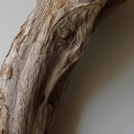 Treibholz Schwemmholz Driftwood 1 XXL Skulptur  93 cm 
