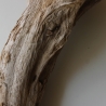 Treibholz Schwemmholz Driftwood 1 XXL Skulptur  93 cm 