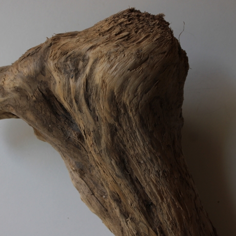Treibholz Schwemmholz Driftwood 1 XXL Skulptur  93 cm 