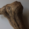 Treibholz Schwemmholz Driftwood 1 XXL Skulptur  93 cm 