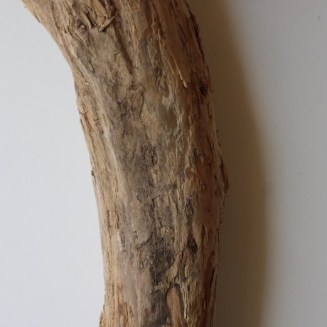 Treibholz Schwemmholz Driftwood 1 XXL Skulptur  93 cm 