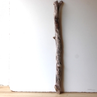 Treibholz Schwemmholz Driftwood 1 XXL Ast  Garderobe 98 cm 