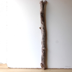 Treibholz Schwemmholz Driftwood 1 XXL Ast  Garderobe 98 cm 