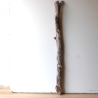 Treibholz Schwemmholz Driftwood 1 XXL Ast  Garderobe 98 cm 