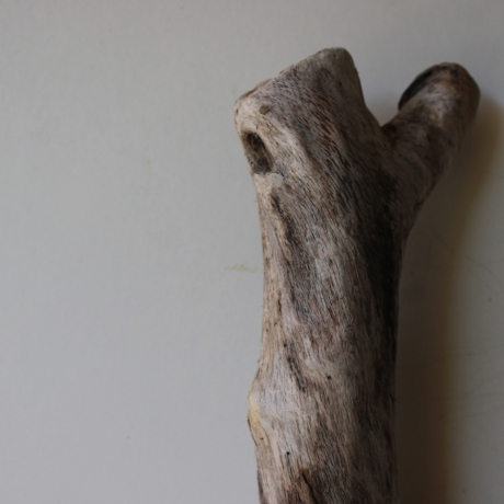 Treibholz Schwemmholz Driftwood 1 XXL Ast  Garderobe 98 cm 