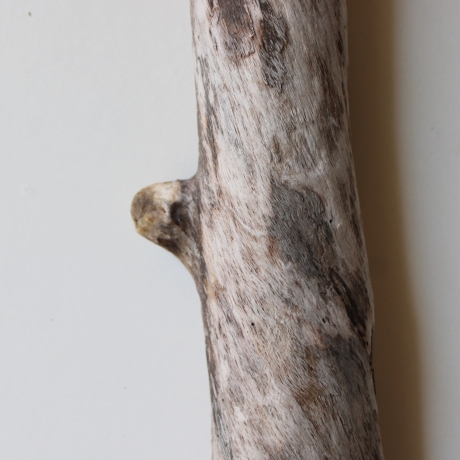 Treibholz Schwemmholz Driftwood 1 XXL Ast  Garderobe 98 cm 