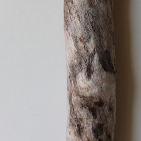 Treibholz Schwemmholz Driftwood 1 XXL Ast  Garderobe 98 cm 