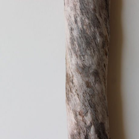 Treibholz Schwemmholz Driftwood 1 XXL Ast  Garderobe 98 cm 