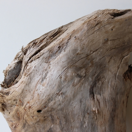 Treibholz Schwemmholz Driftwood 1 XL Skulptur  44  cm 