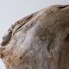 Treibholz Schwemmholz Driftwood 1 XL Skulptur  44  cm 