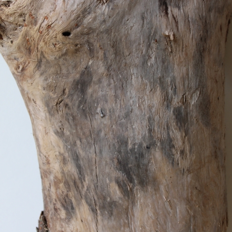 Treibholz Schwemmholz Driftwood 1 XL Skulptur  44  cm 