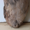 Treibholz Schwemmholz Driftwood 1 XL Skulptur  44  cm 