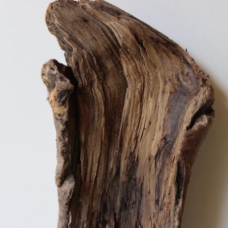 Treibholz Schwemmholz Driftwood 1 XL Skulptur  44  cm 