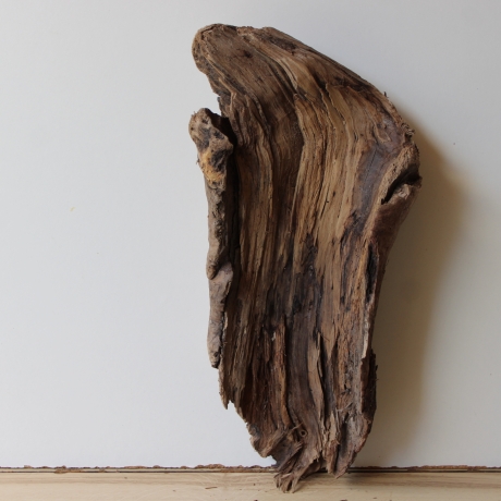 Treibholz Schwemmholz Driftwood 1 XL Skulptur  44  cm 