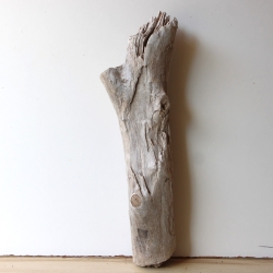 Treibholz Schwemmholz Driftwood 1 knorrige XL Skulptur  66  cm 