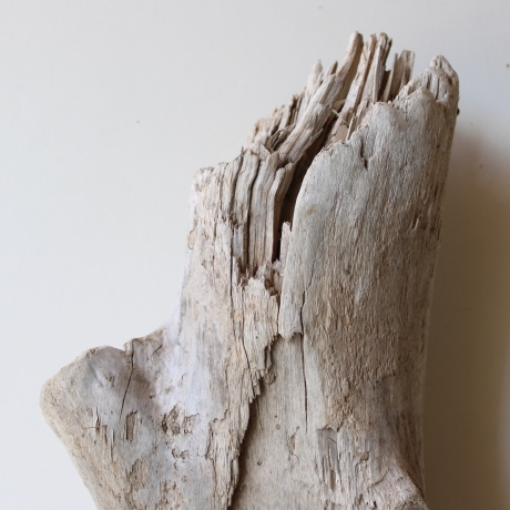 Treibholz Schwemmholz Driftwood 1 knorrige XL Skulptur  66  cm 