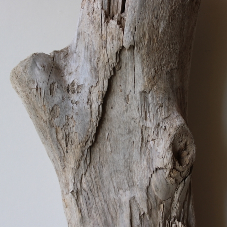 Treibholz Schwemmholz Driftwood 1 knorrige XL Skulptur  66  cm 