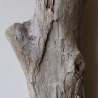 Treibholz Schwemmholz Driftwood 1 knorrige XL Skulptur  66  cm 