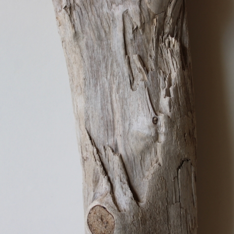 Treibholz Schwemmholz Driftwood 1 knorrige XL Skulptur  66  cm 