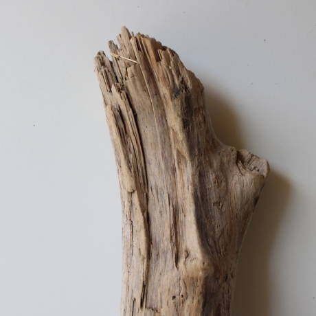 Treibholz Schwemmholz Driftwood 1 knorrige XL Skulptur  66  cm 
