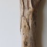 Treibholz Schwemmholz Driftwood 1 knorrige XL Skulptur  66  cm 