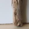 Treibholz Schwemmholz Driftwood 1 knorrige XL Skulptur  66  cm 