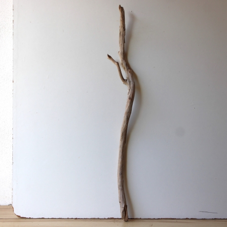 Treibholz Schwemmholz Driftwood 1 XL Ast  Garderobe 95 cm 
