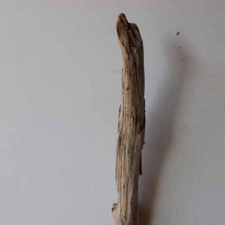 Treibholz Schwemmholz Driftwood 1 XL Ast  Garderobe 95 cm 