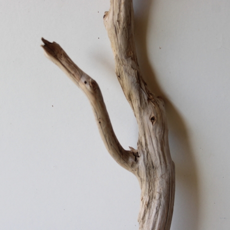 Treibholz Schwemmholz Driftwood 1 XL Ast  Garderobe 95 cm 