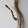 Treibholz Schwemmholz Driftwood 1 XL Ast  Garderobe 95 cm 