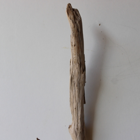 Treibholz Schwemmholz Driftwood 1 XL Ast  Garderobe 95 cm 