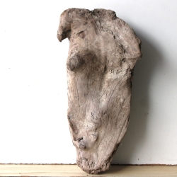 Treibholz Schwemmholz Driftwood 1 knorrige XL   Skulptur  53  cm 