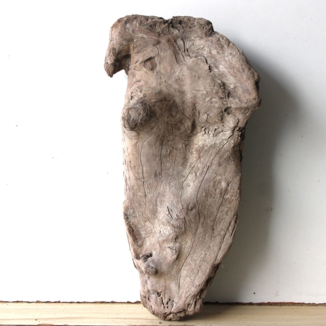 Treibholz Schwemmholz Driftwood 1 knorrige XL   Skulptur  53  cm 