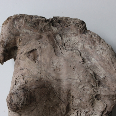 Treibholz Schwemmholz Driftwood 1 knorrige XL   Skulptur  53  cm 