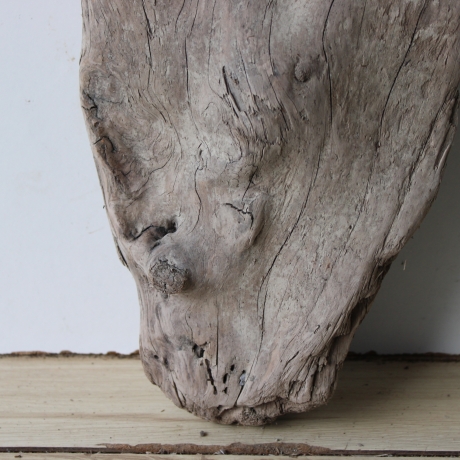 Treibholz Schwemmholz Driftwood 1 knorrige XL   Skulptur  53  cm 