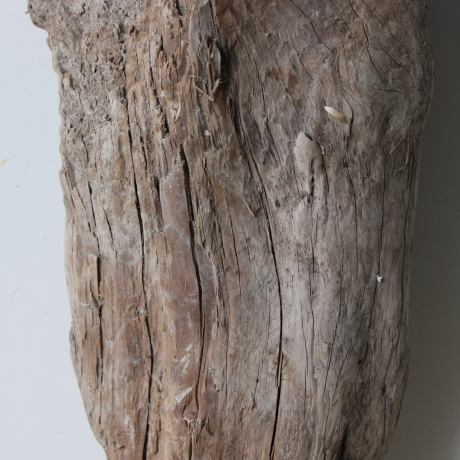 Treibholz Schwemmholz Driftwood 1 knorrige XL   Skulptur  53  cm 