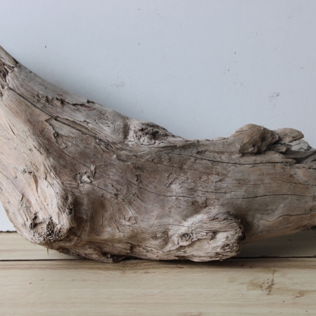 Treibholz Schwemmholz Driftwood 1 knorrige  Skulptur 27 cm hoch