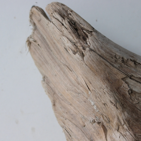 Treibholz Schwemmholz Driftwood 1 knorrige  Skulptur 27 cm hoch