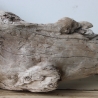 Treibholz Schwemmholz Driftwood 1 knorrige  Skulptur 27 cm hoch