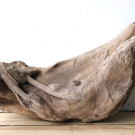 Treibholz Schwemmholz Driftwood 1 knorrige  Skulptur 27 cm hoch